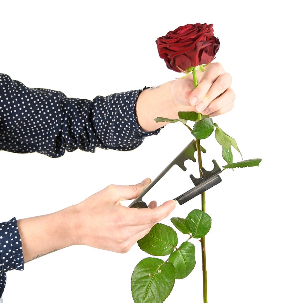 Rose thorn stripper