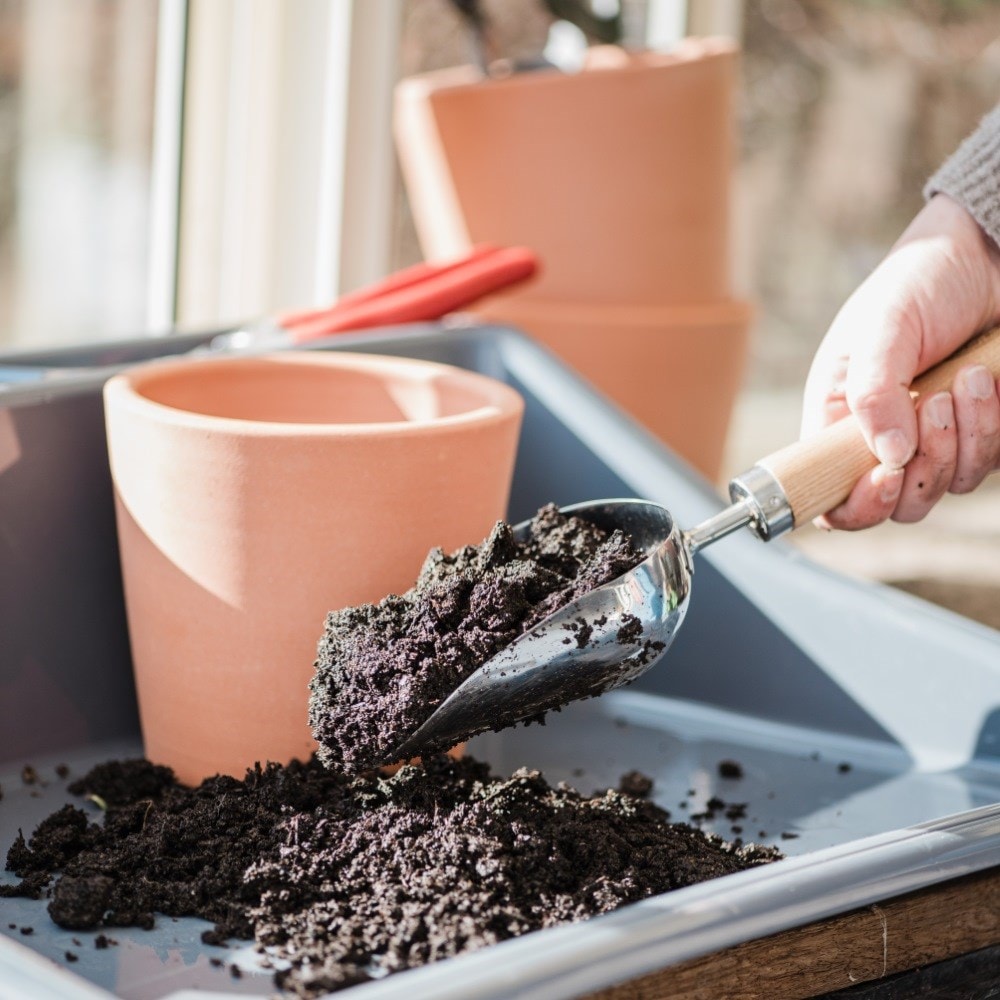 Product options image