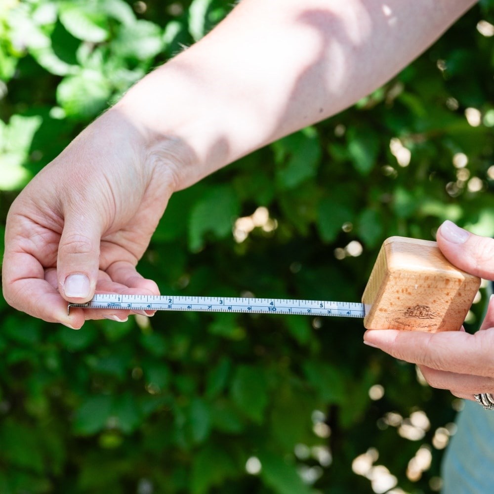 Wooden tape measure 