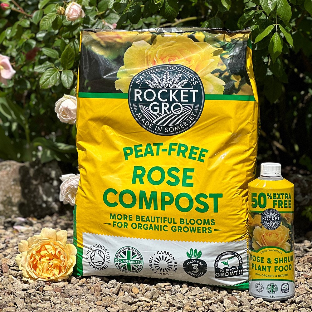 RocketGro rose compost