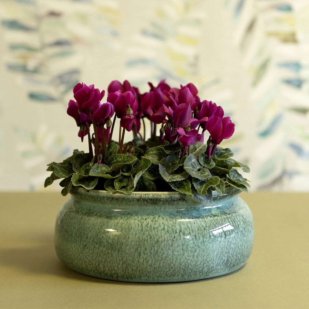 Low glazed bulb bowl - blue