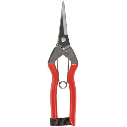 Niwaki garden snips