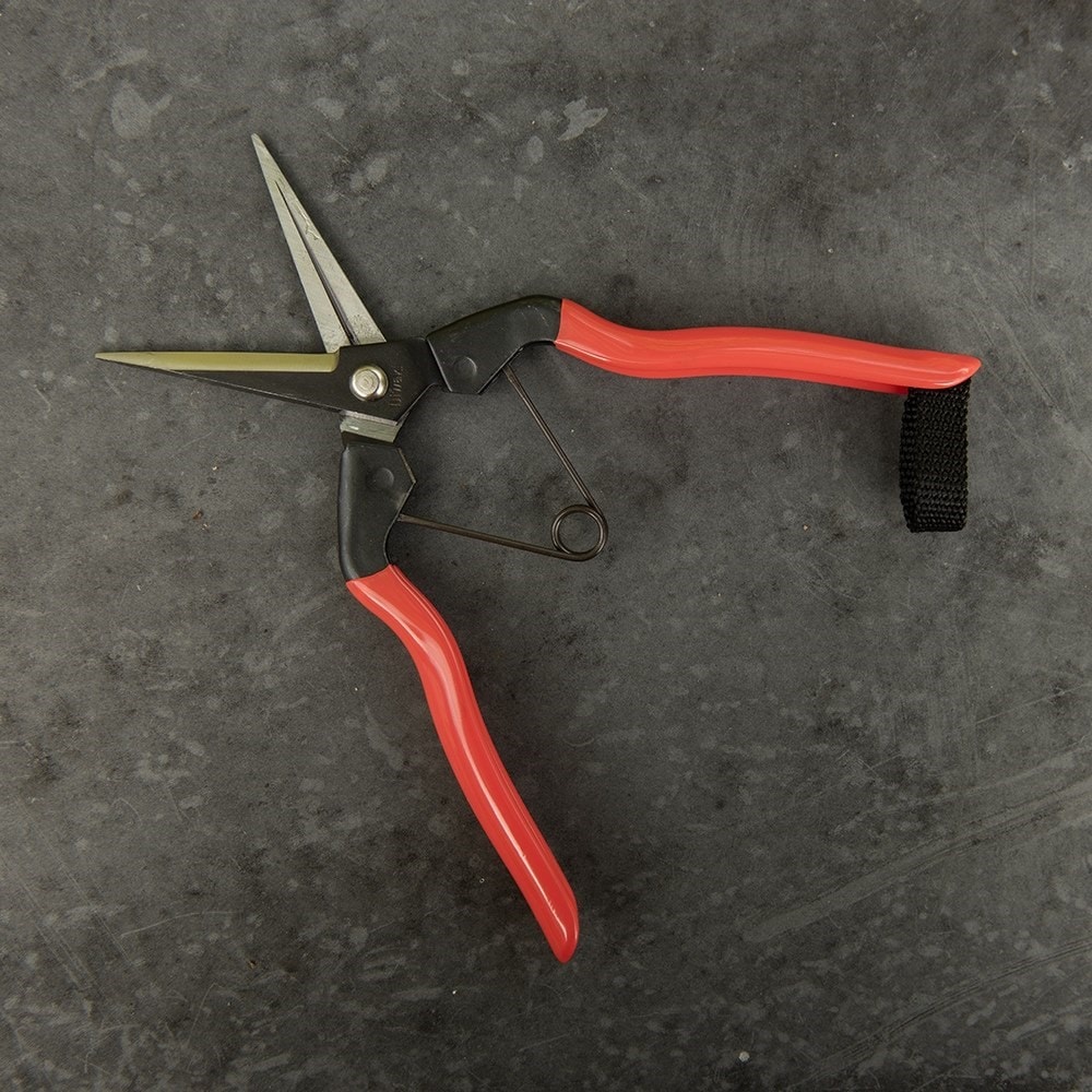 Niwaki garden snips
