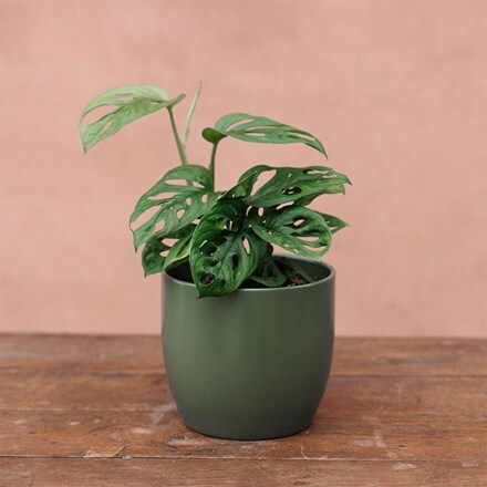 Round glazed plant pot - khaki