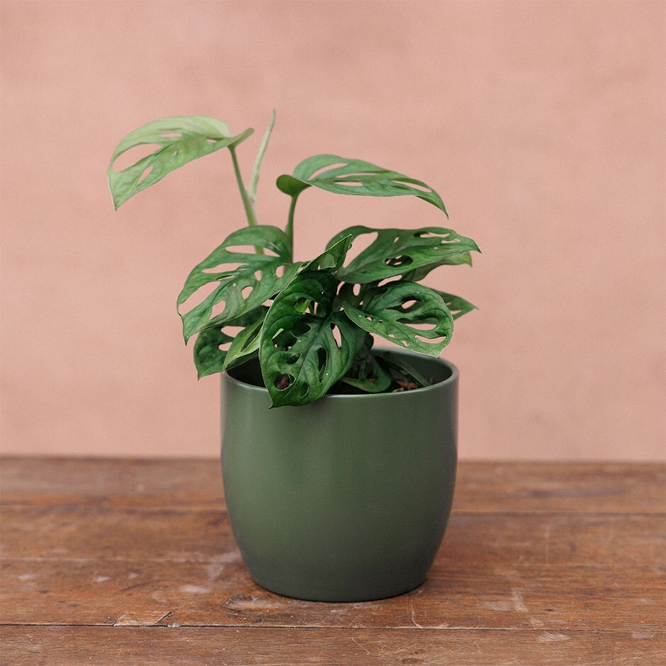 Round glazed plant pot - khaki