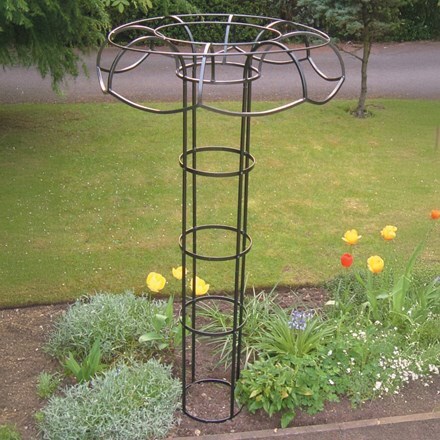 Large climbers tuteur plant support