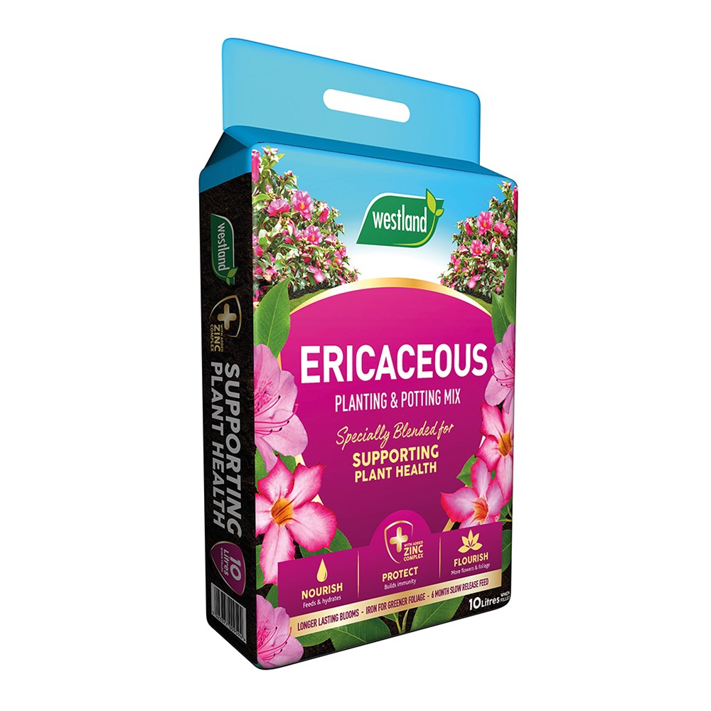 Ericaceous compost