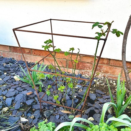 Square rose support - rust