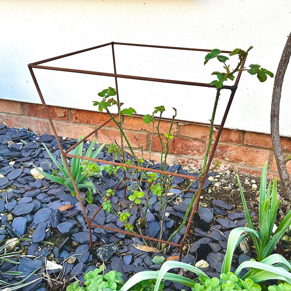 Square rose support - rust