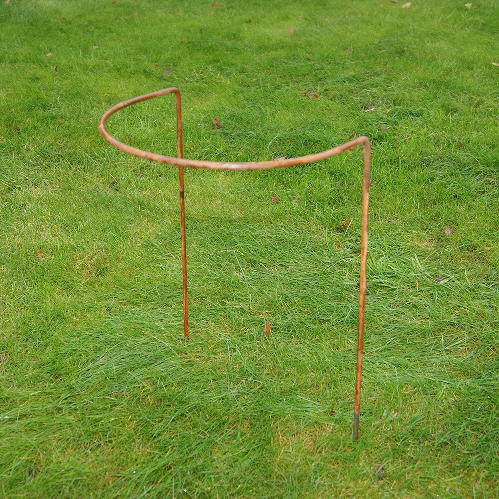 Product options image