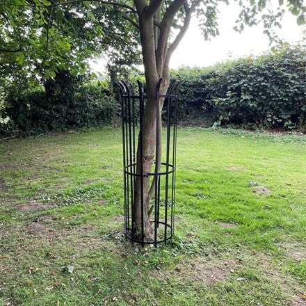 Large metal tree guard