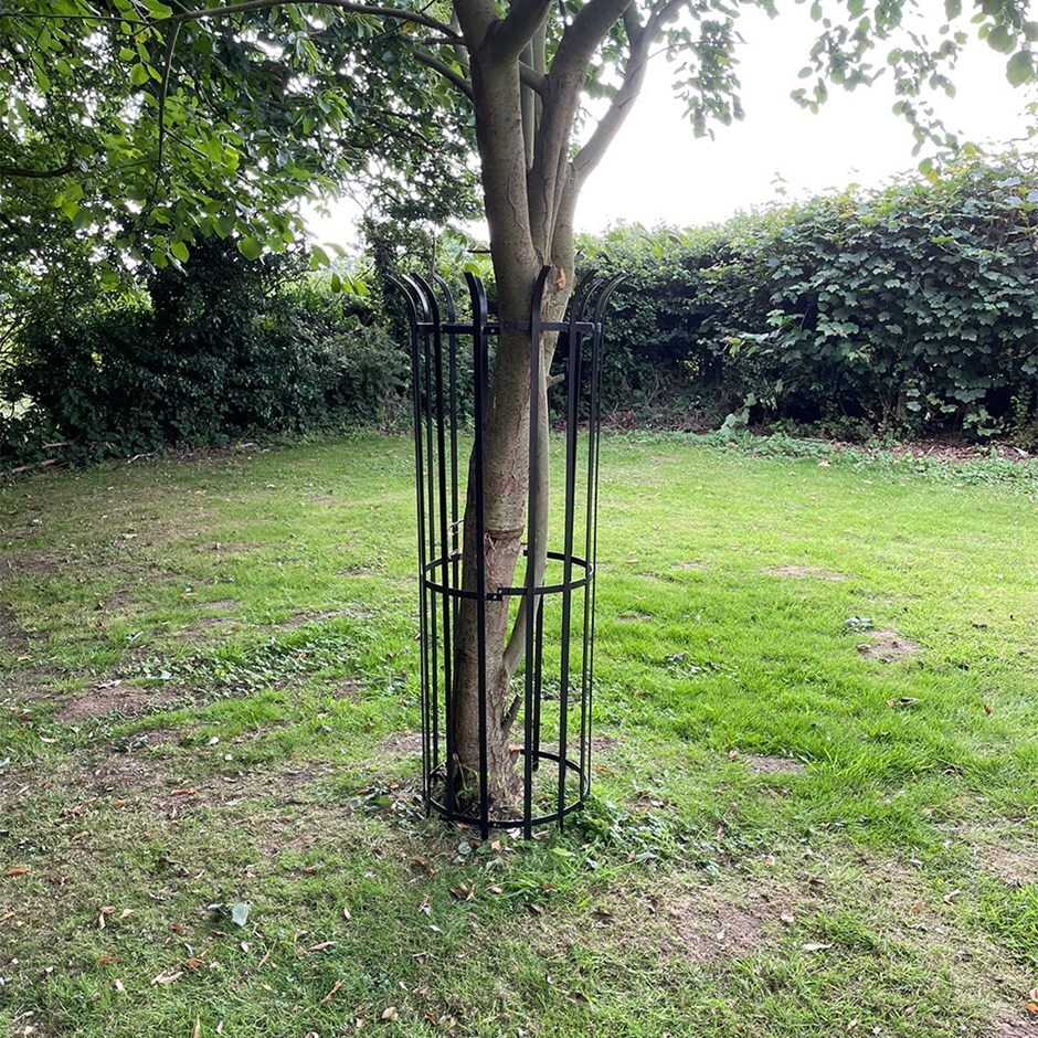 Large metal tree guard 