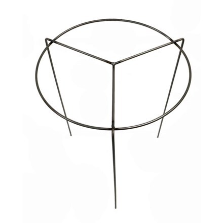 Perennial plant support - rust