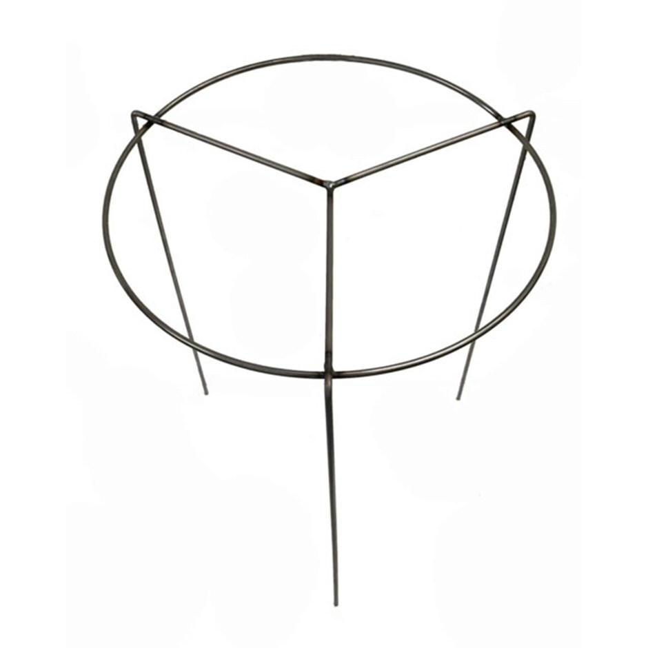Perennial plant support - rust