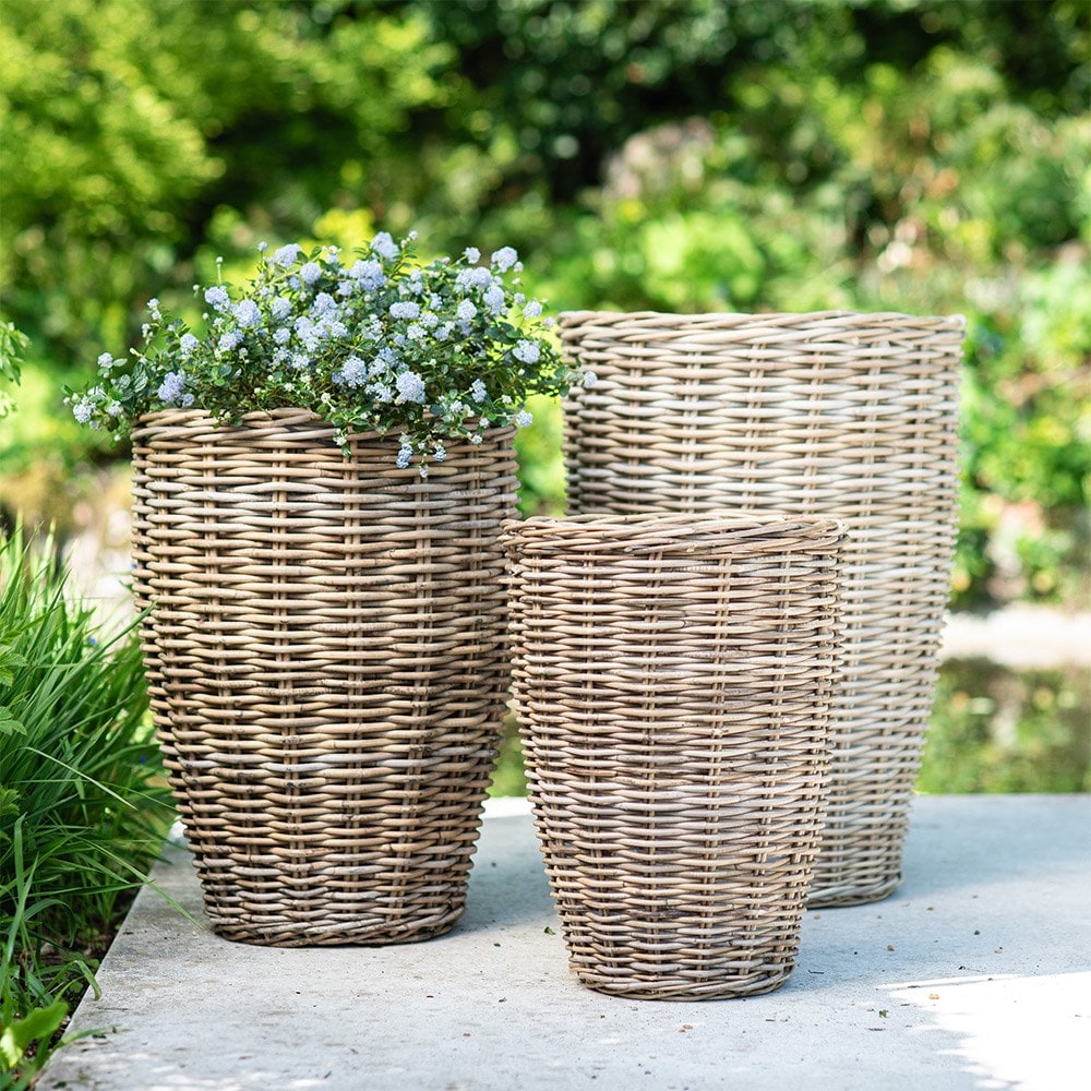 Product options image