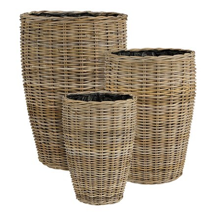 Tall tapered basket pot