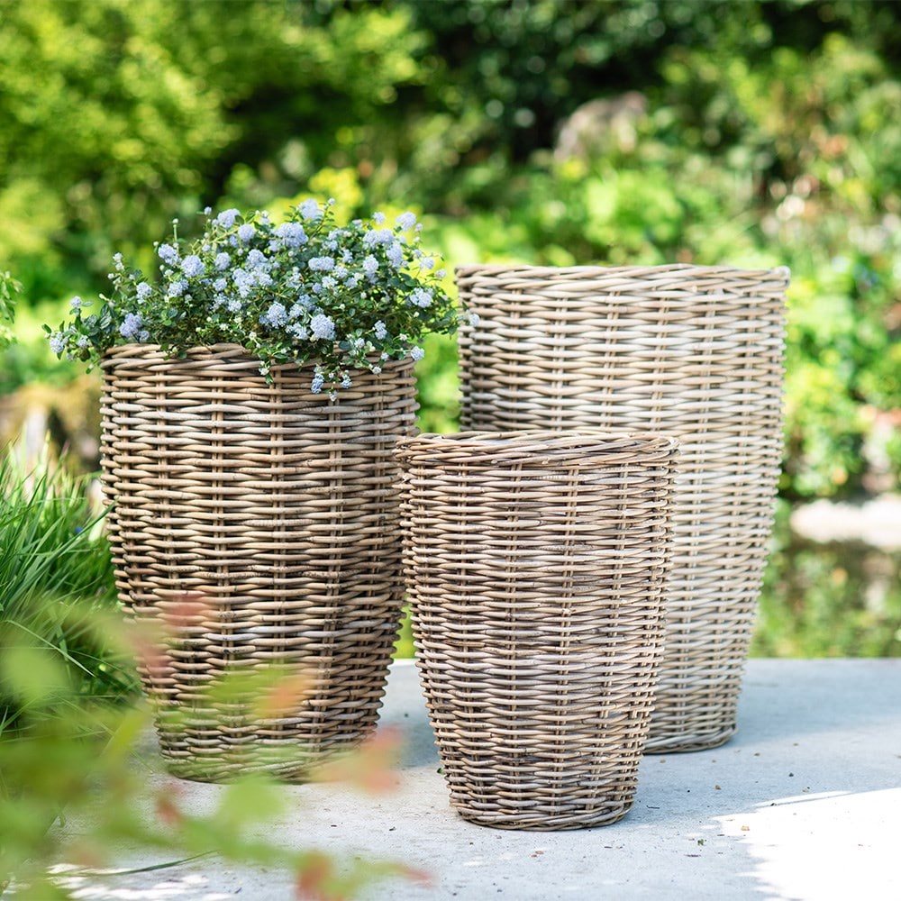 Tall tapered basket pot