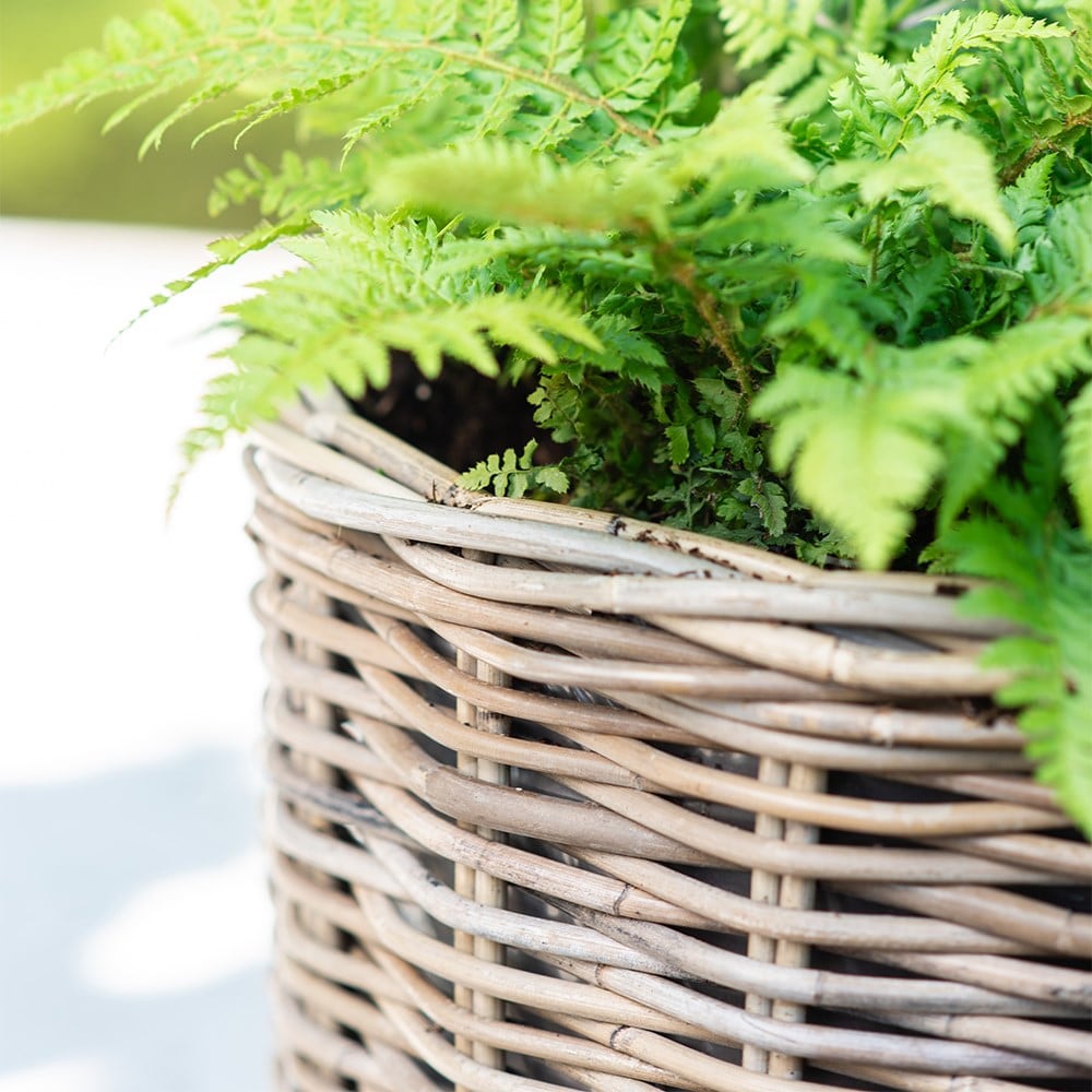 Set of three weatherproof basket planters