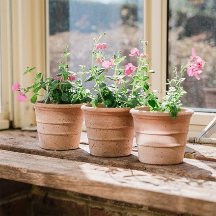 Mini ridged grow pot - terracotta