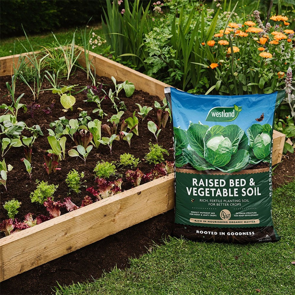 Peat-free raised bed & vegetable compost