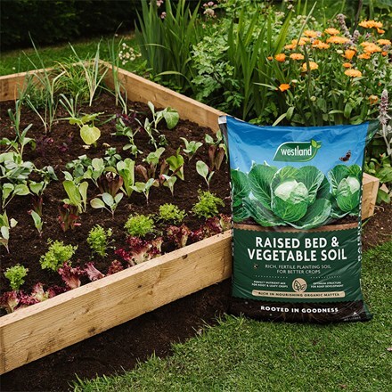 Peat free raised bed & vegetable compost