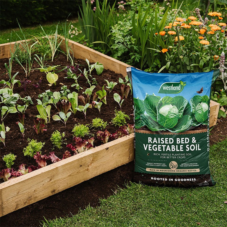 Peat free raised bed & vegetable compost