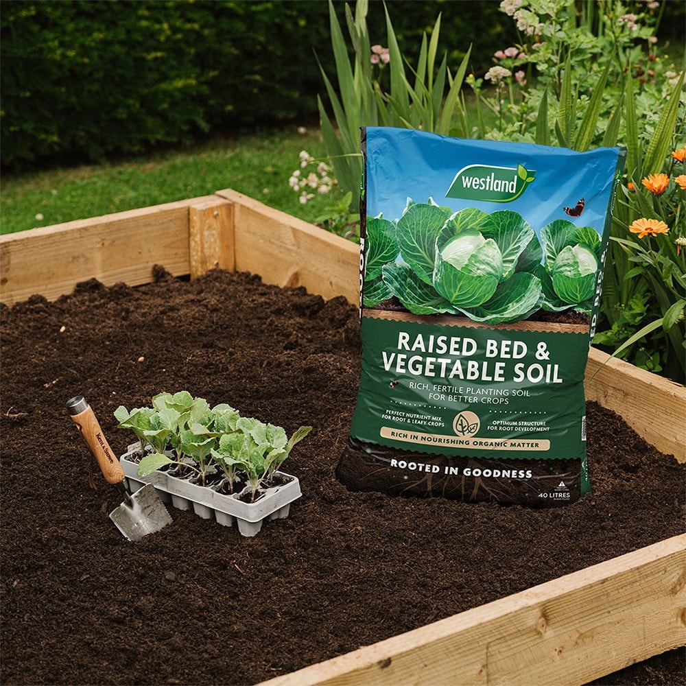 Peat free raised bed & vegetable compost