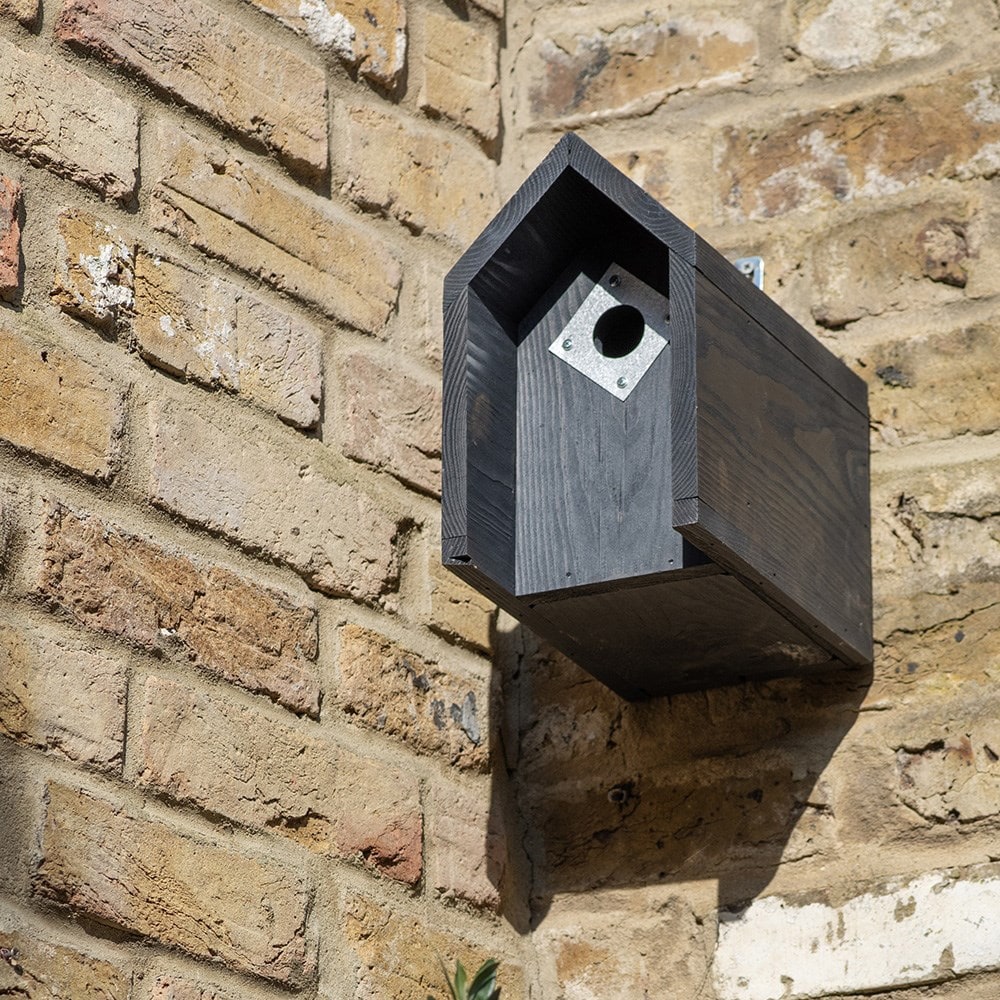 Product options image