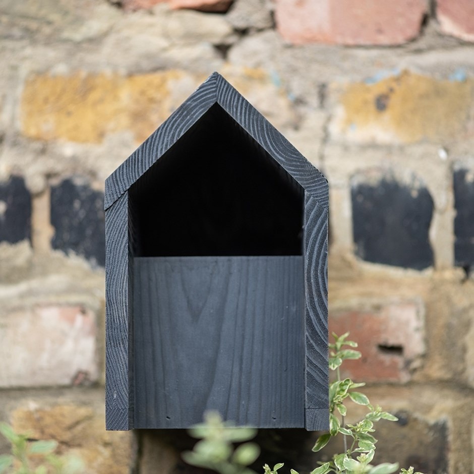 Robin box
