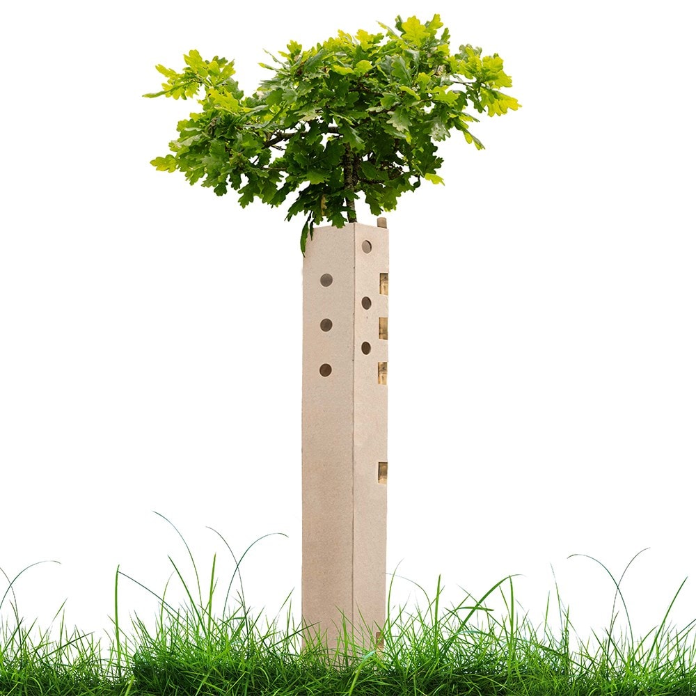 Biodegradable tree guards - pack of 5