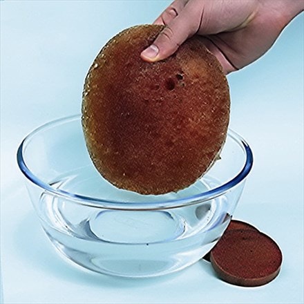 Water slices - pack of 6