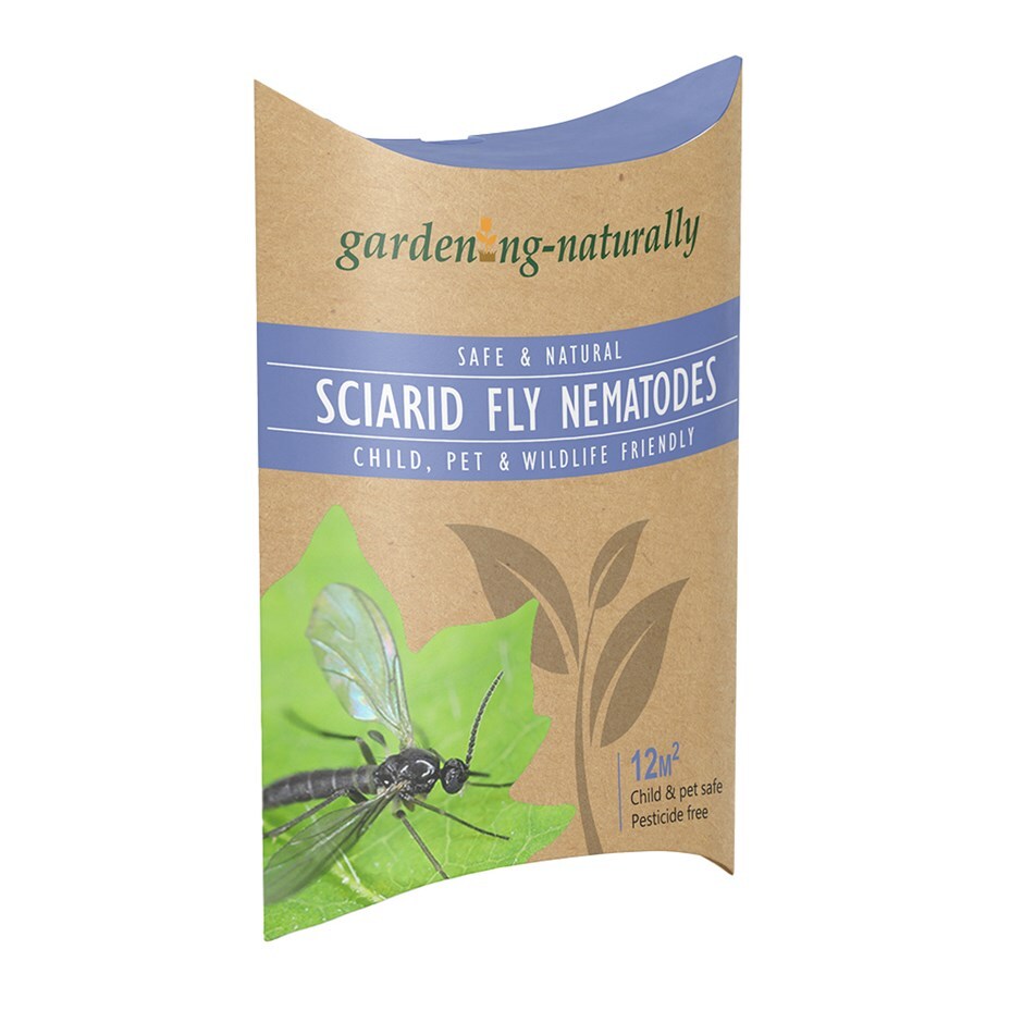 Sciarid fly nematodes