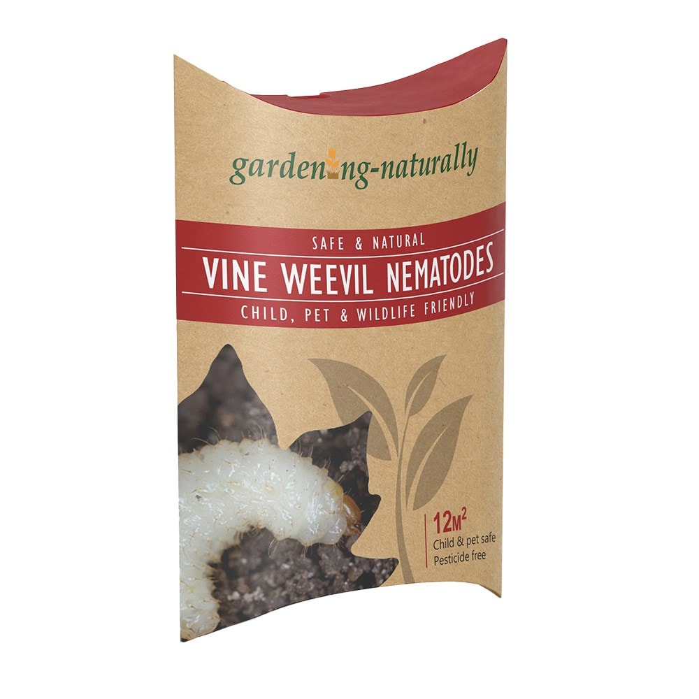 Vine weevil killer