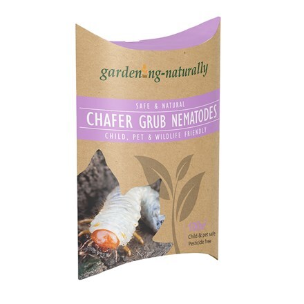 Chafer grub nematodes