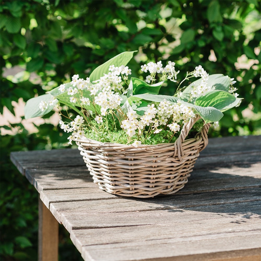 Round rattan large plant bowl with handles