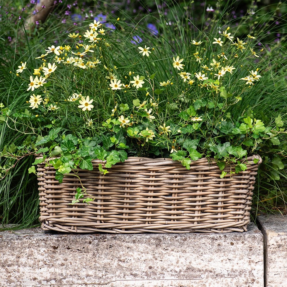 Classic rattan window box