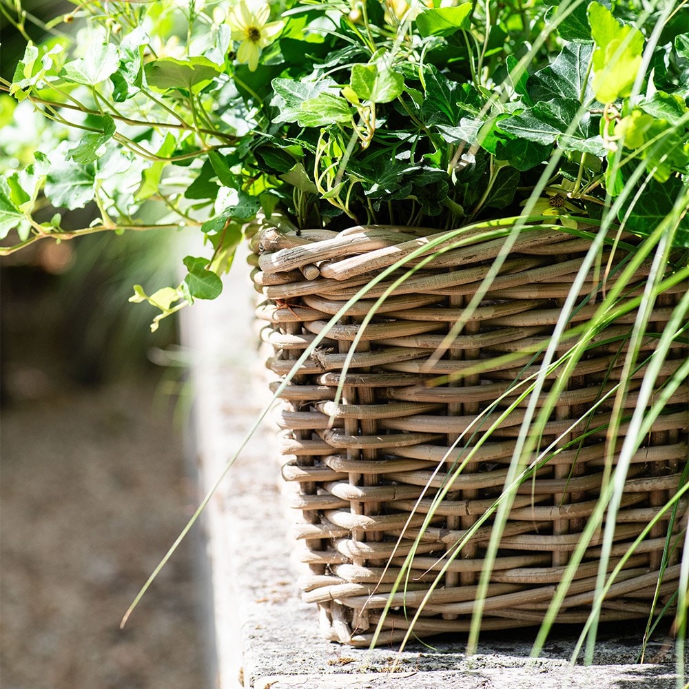 Classic rattan window box