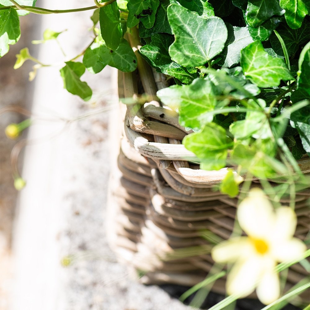 Classic rattan window box