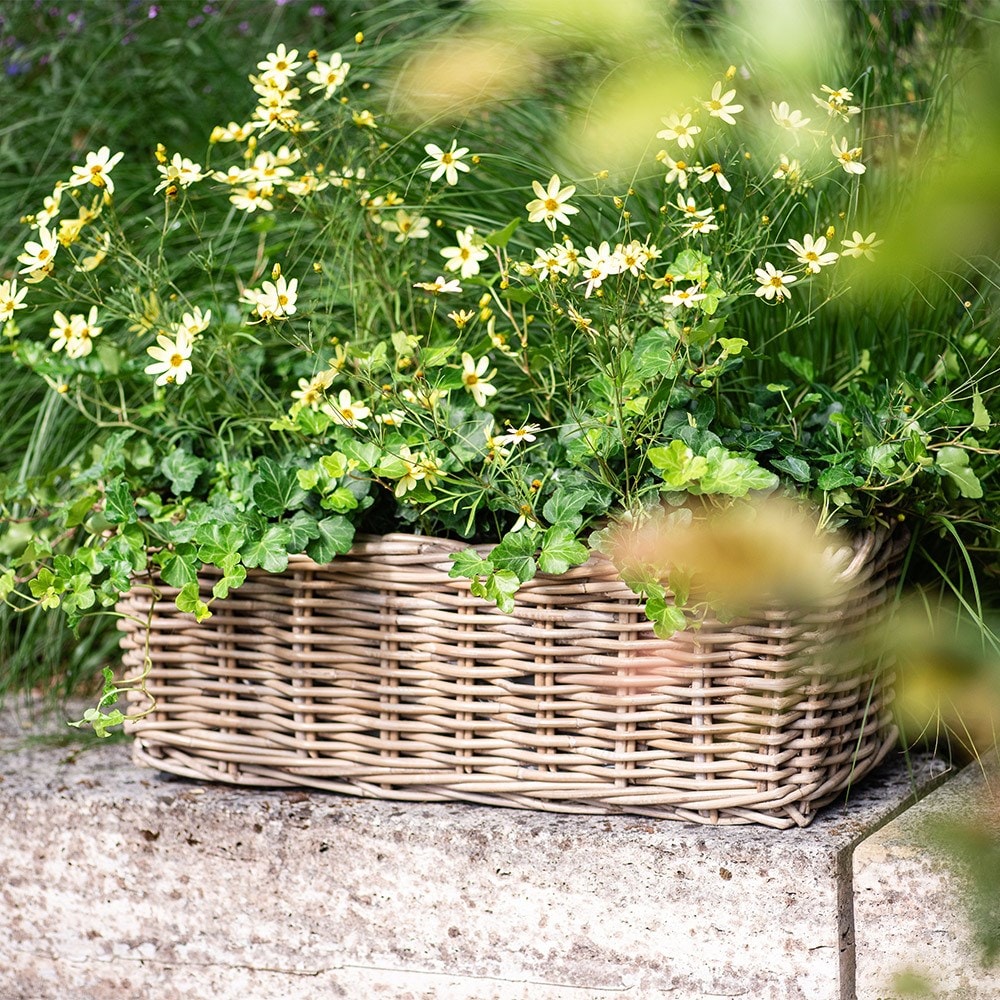 Classic rattan window box