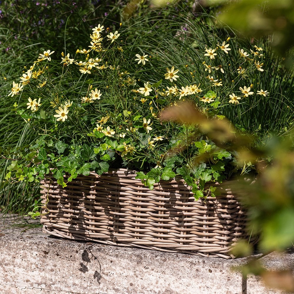Classic rattan window box