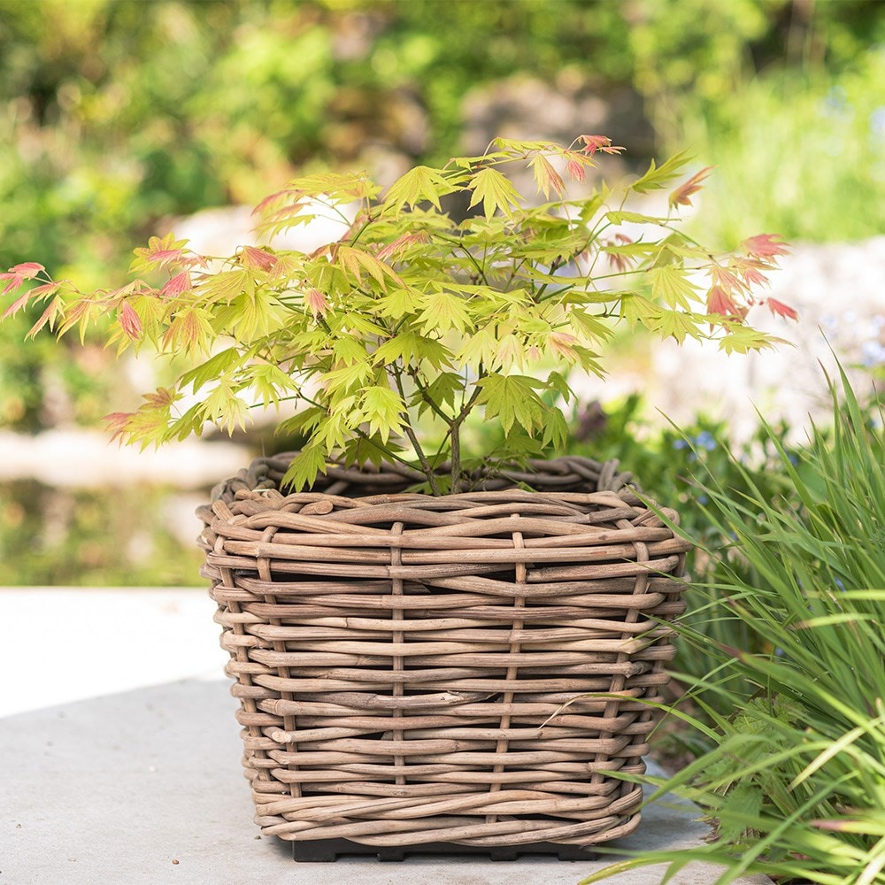 Square rattan planter 