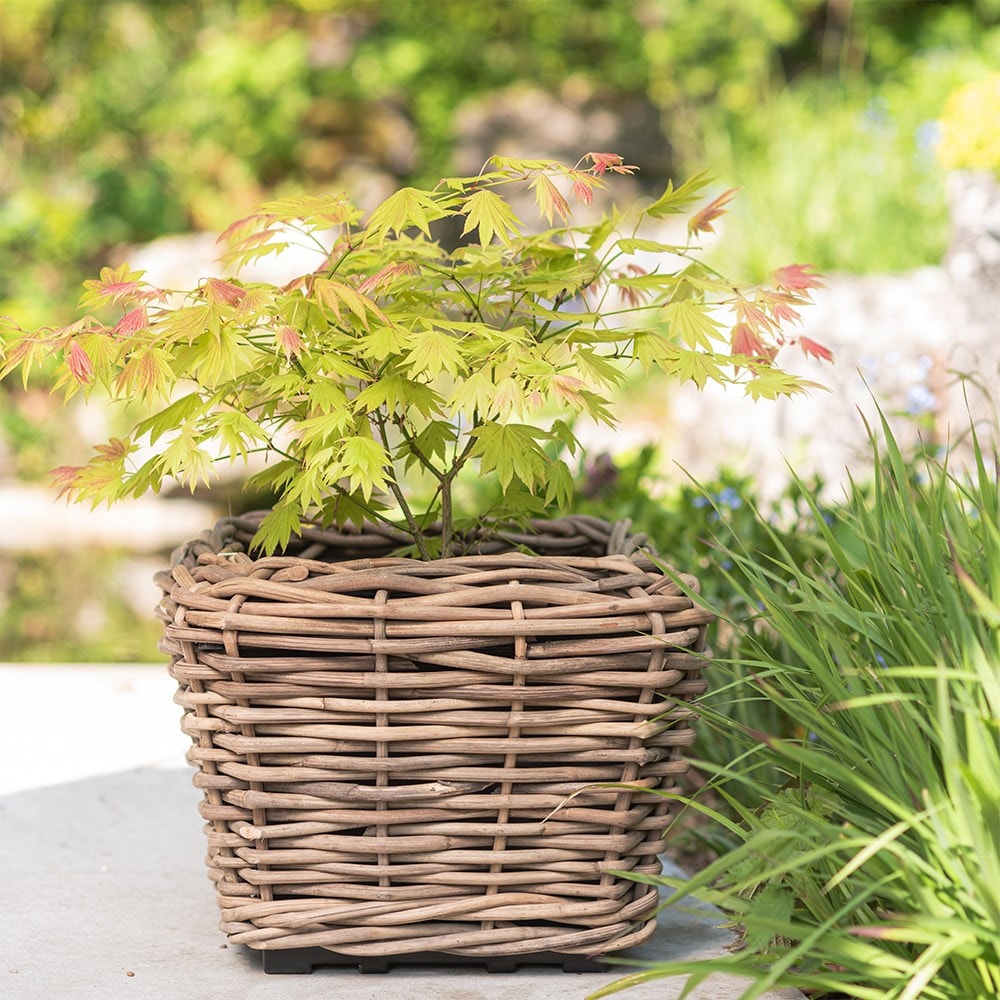 Square rattan planter 