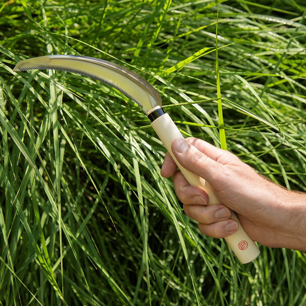 Product options image