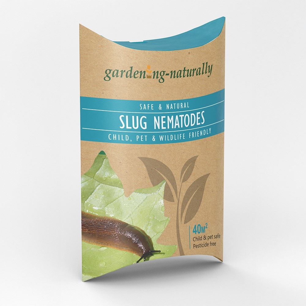 Slug nematodes 