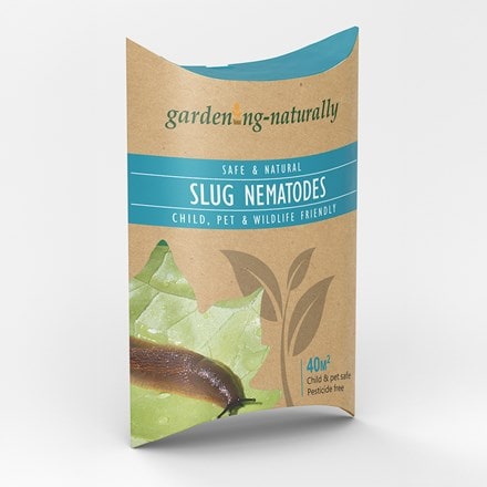 Slug nematodes