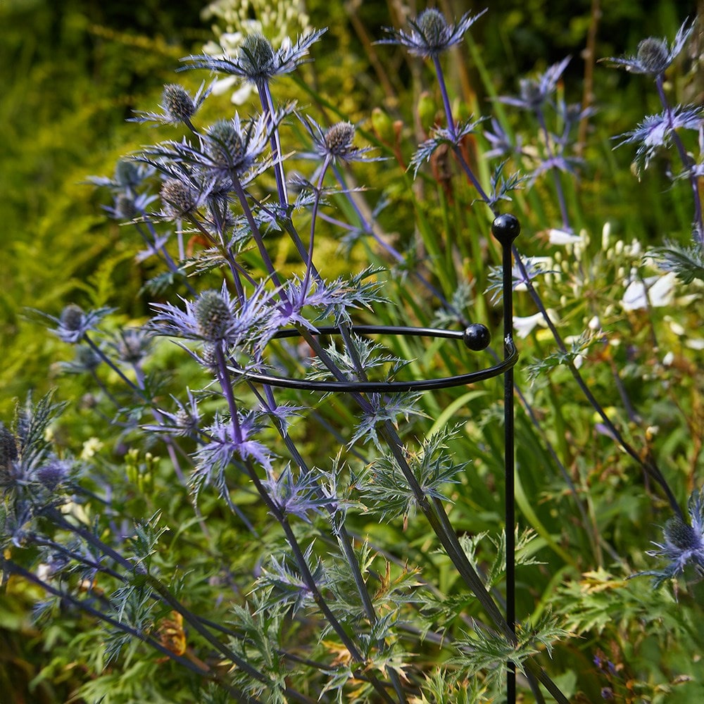 Single stem plant support - black