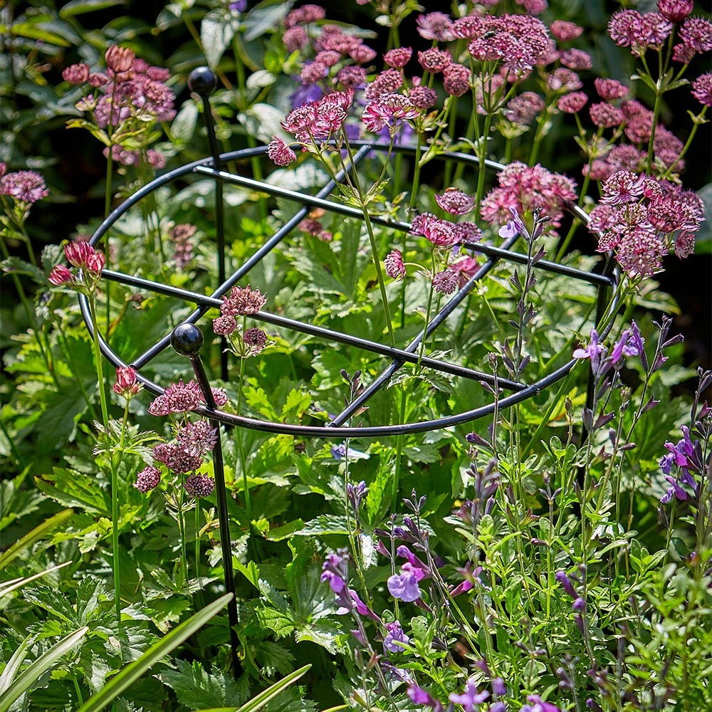 Cottage garden grow through plant support - black