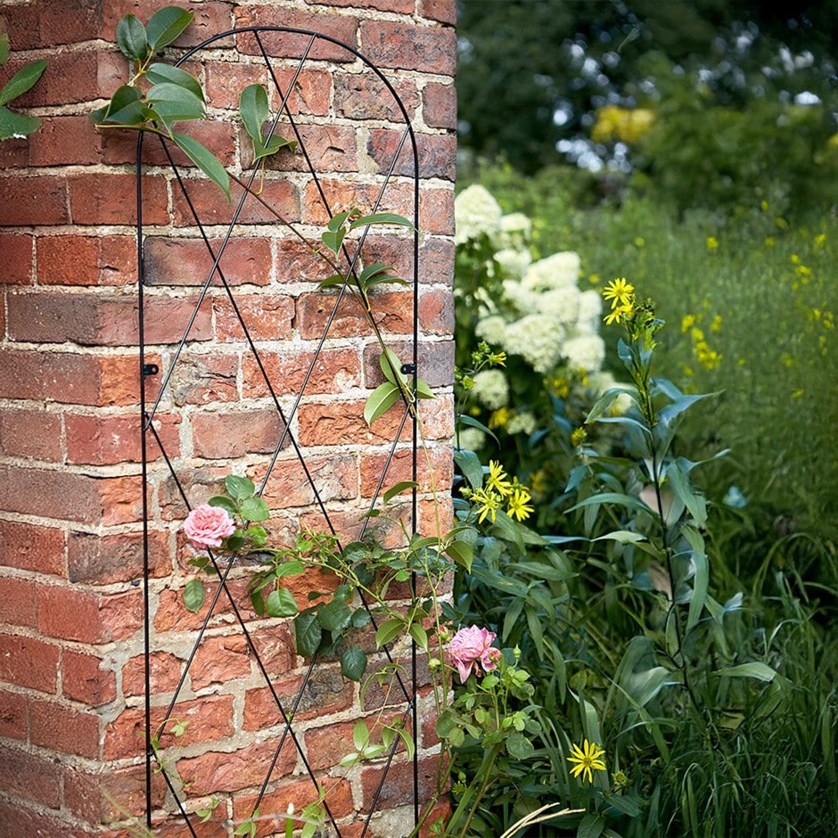 Diamond arched trellis - black