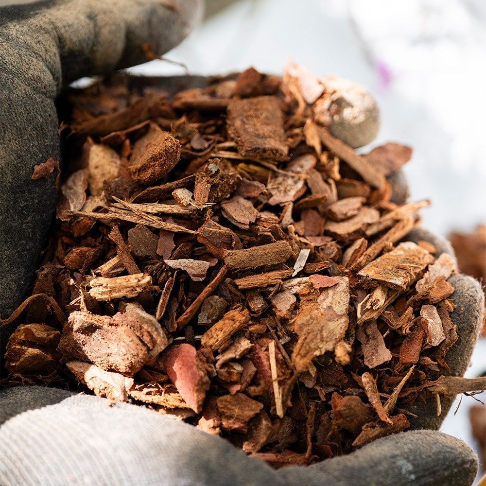 Pine mini chips