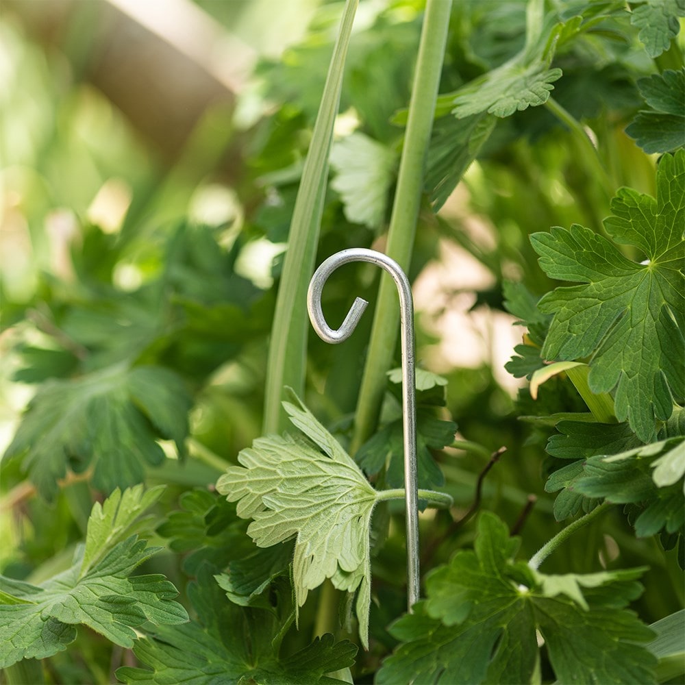 Metal stake for slate labels